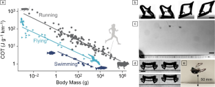 Materials challenges for powering miniature bioinspired robots