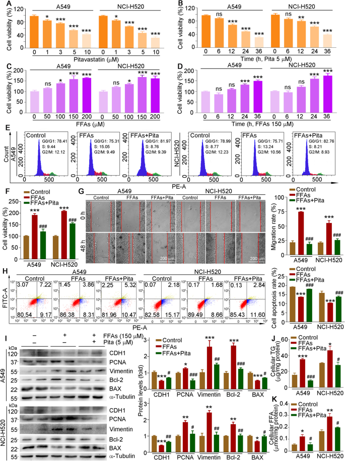 CD36 inhibition reduces non-small-cell lung cancer development through AKT-mTOR pathway.