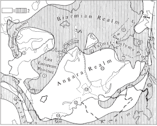 Brachiopods and Biostratigraphy of the Permian Marine Boreal Basin of Mongolia