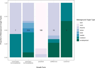 A taxonomic snapshot of belowground organs in plants of Anatolian steppes