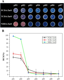 Colorimetric detection of milk spoilage at low temperatures: a novel PDA/ZnO@NC membrane for pH-based freshness monitoring