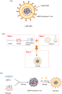 Continuous and size-control synthesis of lipopolyplex nanoparticles enabled by controlled micromixing performance for mRNA delivery