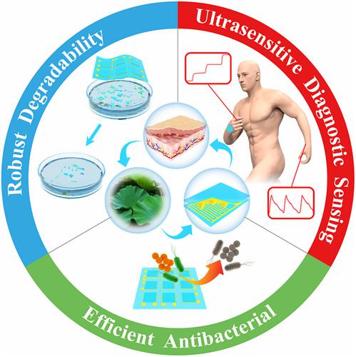 Flexible antibacterial degradable bioelastomer nanocomposites for ultrasensitive human–machine interaction sensing enabled by machine learning