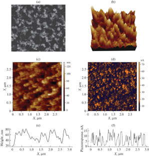 Study of the Piezoelectric Properties of Nitrogen-Doped Carbon Nanotubes for the Development of Energy-Efficient Nanogenerators