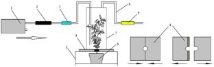 Prediction of tomato plants infected by fungal pathogens at different disease severities using E-nose and GC–MS