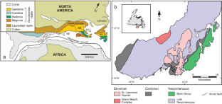 Petrogenesis of Late Devonian felsic volcanic rocks of Avalonia from Burin Peninsula, Newfoundland: relation to A-type granites and fluorite mineralization