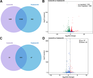 Whole-Transcriptome Analysis Reveals the RNA Profiles in Mouse Bone Marrow Mesenchymal Stem Cells or Zebrafish Embryos After Exposure to Environmental Level of Tributyltin.