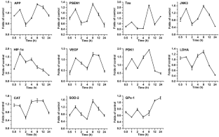 HIF-1α is a "brake" in JNK-mediated activation of amyloid protein precursor and hyperphosphorylation of tau induced by T-2 toxin in BV2 cells.