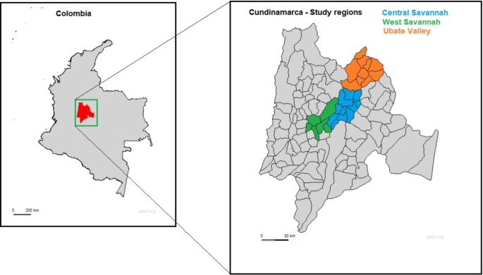 The contribution of local shrubs to the carbon footprint reduction of traditional dairy systems in Cundinamarca, Colombia