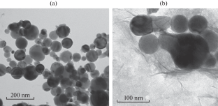 Effect of Orally Introduced Nickel Nanoparticles on the Trace Element Content in the Internal Organs of Rats