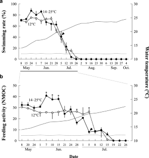 Onset of estivation in western sand lance Ammodytes japonicus is not solely triggered by elevating water temperature