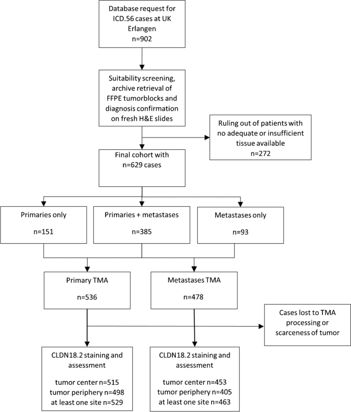 Spatial expression of claudin 18.2 in matched primaries and metastases of tubo-ovarian carcinoma of all subtypes.