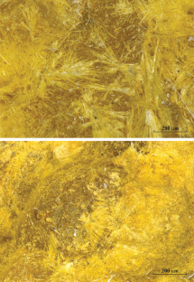 Cacoxenite—a Complex Phosphate with a Modular Structure