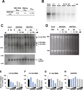 A novel, small anti-HBV compound reduces HBsAg and HBV-DNA by destabilizing HBV-RNA.