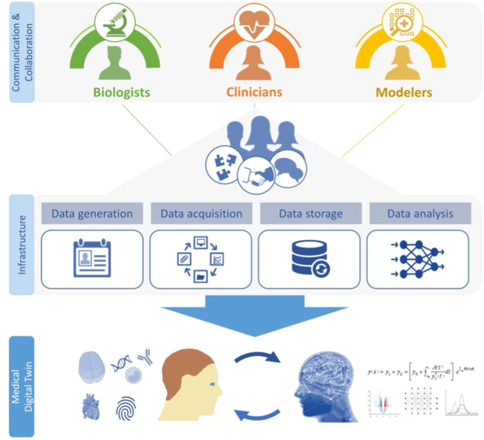 Forum on immune digital twins: a meeting report.