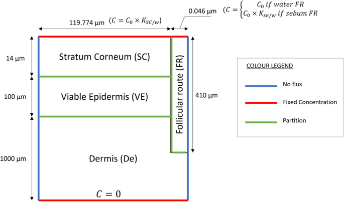 In Silico Study on the Contribution of the Follicular Route to Dermal Permeability of Small Molecules.