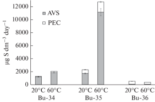 Low-Abundance Sulfidogenic Bacteria Carry out Intensive Sulfate Reduction in Terrestrial Hydrotherms of the Barguzin Valley