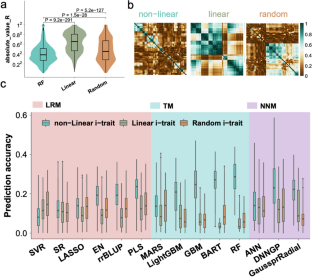 Multi-omics assists genomic prediction of maize yield with machine learning approaches.