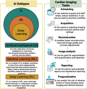 Implications of Bias in Artificial Intelligence: Considerations for Cardiovascular Imaging.