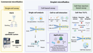 Microfluidics-driven high-throughput phenotyping and screening in synthetic biology: from single cells to cell-free systems