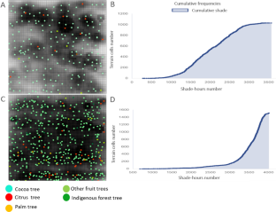 Microclimatic variations in cocoa-based agroforestry systems affect citrus Phytophthora foot rot disease intensity