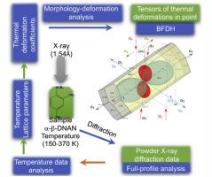 Tensors of thermal deformation for various polymorphic modifications of 2,4-dinitroanisole