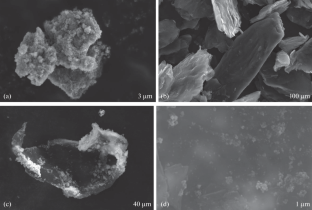 On the Physical–Chemical and Magnetic–Thermal Properties of Magnetite Magnetic Fluids with the Addition of Graphene