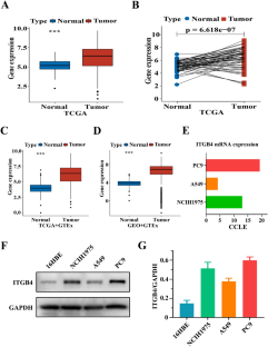 Integrin β4 Regulates Cell Migration of Lung Adenocarcinoma Through FAK Signaling.