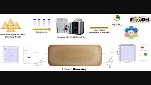 New insights into nonenzymatic browning of non-PDO Italian hard cheese through a metabolomics approach