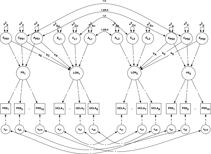 A Genetically Informed Study of the Association Between Perceived Stress and Loneliness.