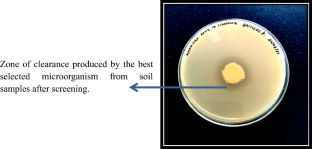 Xylanase enzyme from novel strain and its immobilization onto metal organic framework MOF for fruit juice clarification