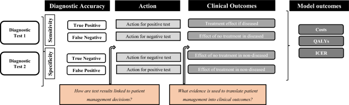 Evidence Synthesis and Linkage for Modelling the Cost-Effectiveness of Diagnostic Tests: Preliminary Good Practice Recommendations.