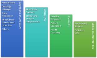 Establishing an Integrative Oncology Service: Essential Aspects of Program Development.