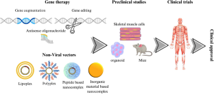 Non-viral delivery of nucleic acid for treatment of rare diseases of the muscle