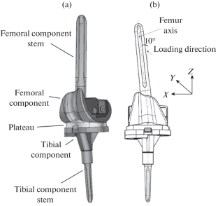 Computer Simulation Prediction of the Operational Capability and Reliability of a Condylar Prosthesis