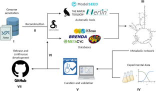 Reconstruction of genome-scale metabolic models of non-conventional yeasts: current state, challenges, and perspectives