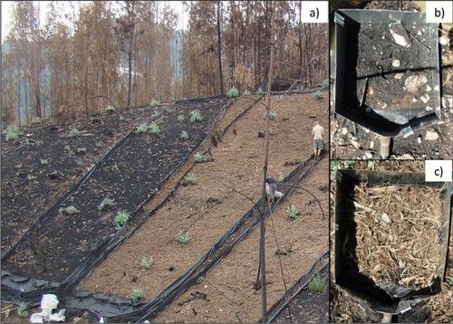 A new approach to pedestal differentiation for soil loss estimation—a case study from a burnt area in north-central Portugal