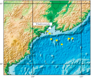 Ferromanganese Crusts of the Peter the Great Seamount and the Vasilkovsky Ridge (Sea of Japan)