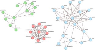 GATA family transcription factors in alga Chlamydomonas reinhardtii.