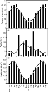 Ecophysiology of Yucca gloriosa in a Mediterranean sand dune environment