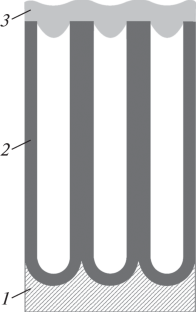 Solid-State Supercapacitors Based on a Highly Ordered Array of Titanium-Oxide Nanotubes Modified with Polyaniline