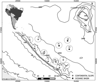 Multiple nets better explain the diversity of marine fish larvae in equatorial environments