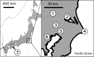 A description of a new species of the genus Brachydistomum (Trematode, Dicrocoeliidae) from the Eurasian Tree Sparrow Passer montanus (Linnaeus) (Passeriformes) in Japan, with a report on the first intermediate host