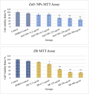 Activity of zinc oxide and zinc borate nanoparticles against resistant bacteria in an experimental lung cancer model.