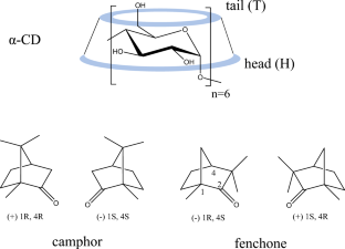 Chiral recognition of fenchone and camphor by α-CD through the multi-equilibrium GFN2-xTB quantum approach