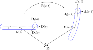 Fiber-Reinforced Elastic Shells: A Direct Cosserat Approach