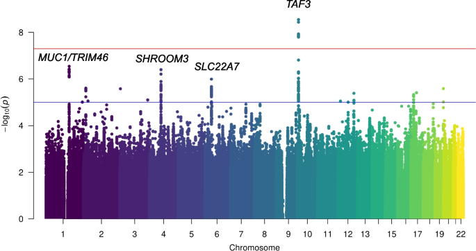 Genome-wide association study of serum magnesium in type 2 diabetes.