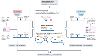 The regulation and differentiation of regulatory T cells and their dysfunction in autoimmune diseases