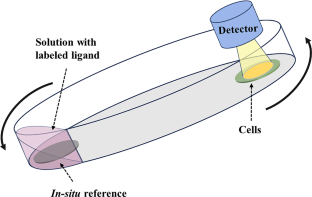 Effects of Chemical Fixatives on Kinetic Measurements of Biomolecular Interaction on Cell Membrane.