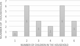 A Study of Households with Children and Firearms in Baltimore, Maryland.